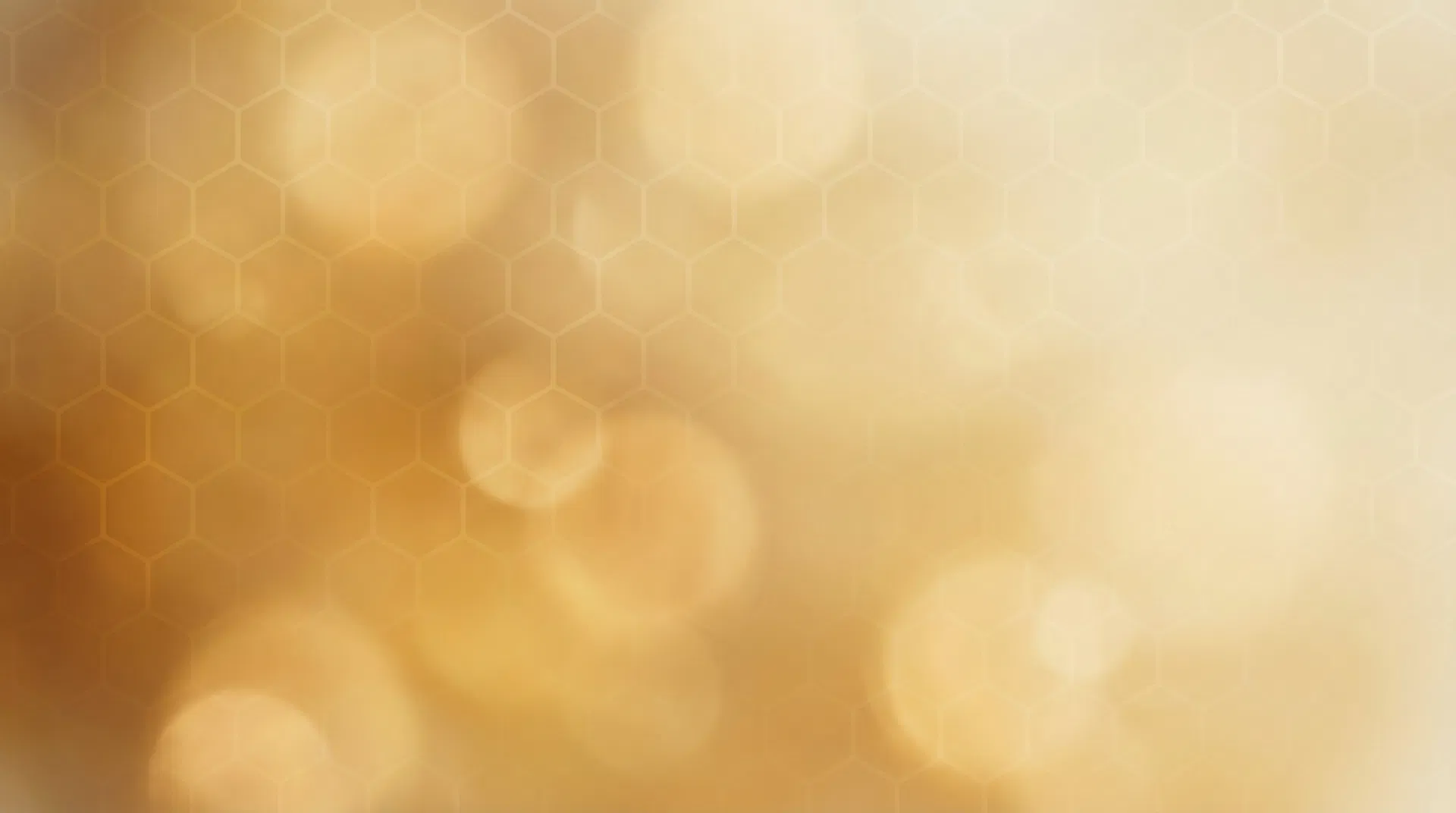 Backyard beekeeping apiary at golden sunset — join the beekeeping community