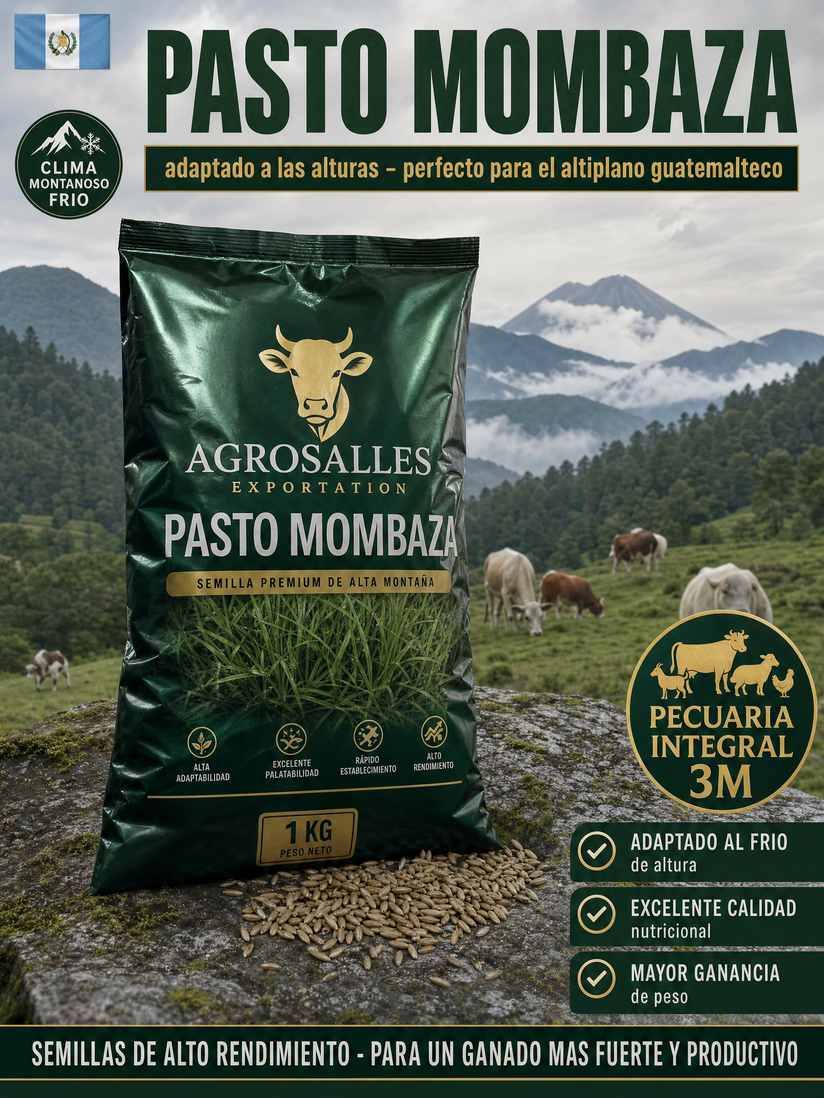 ventas_guatemala_3_montanoso.jpg