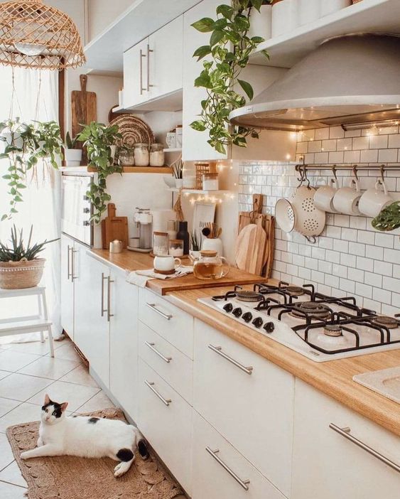 Cozinha em estilo Boho Chic com prateleiras abertas
