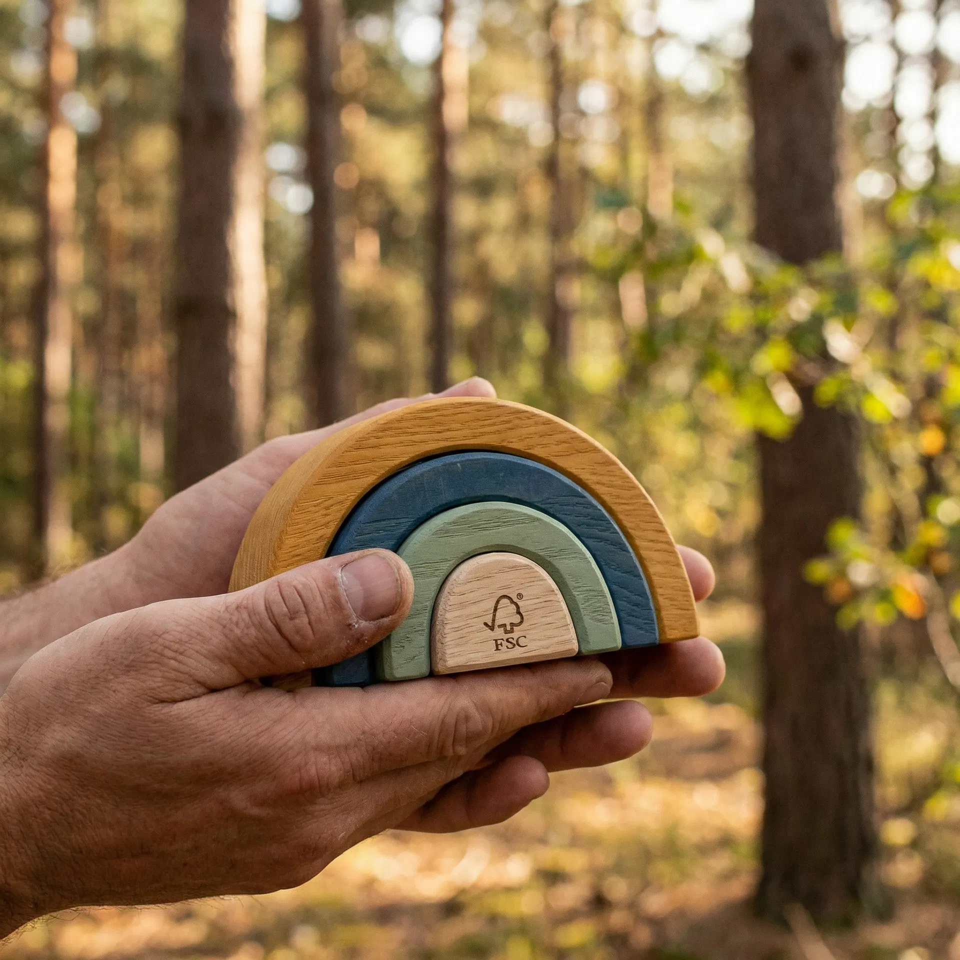 FSC certified wooden toy in forest