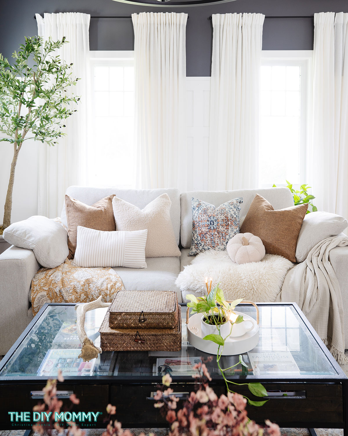 Throw Pillows Mix and Match