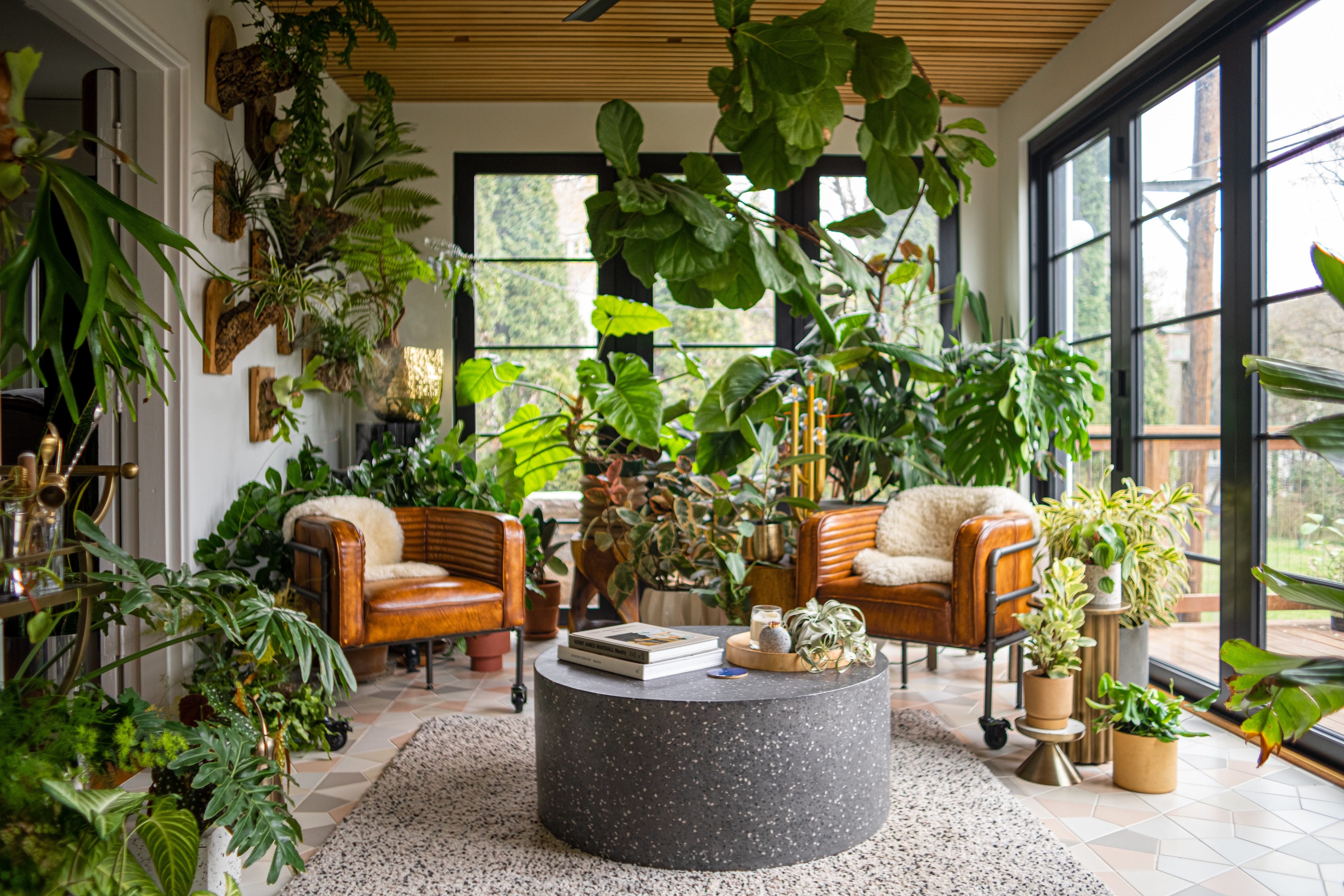Indoor Plant Styling