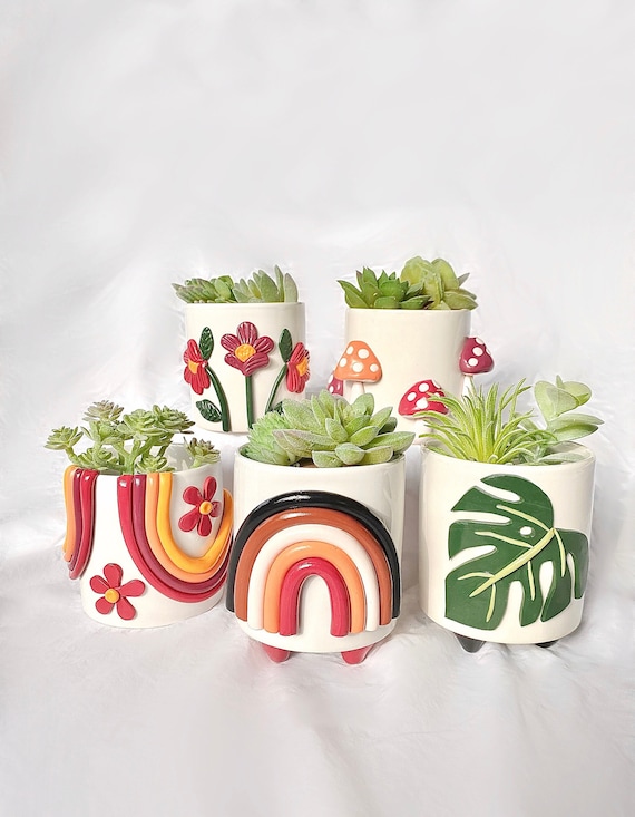 Plant Pots Variety