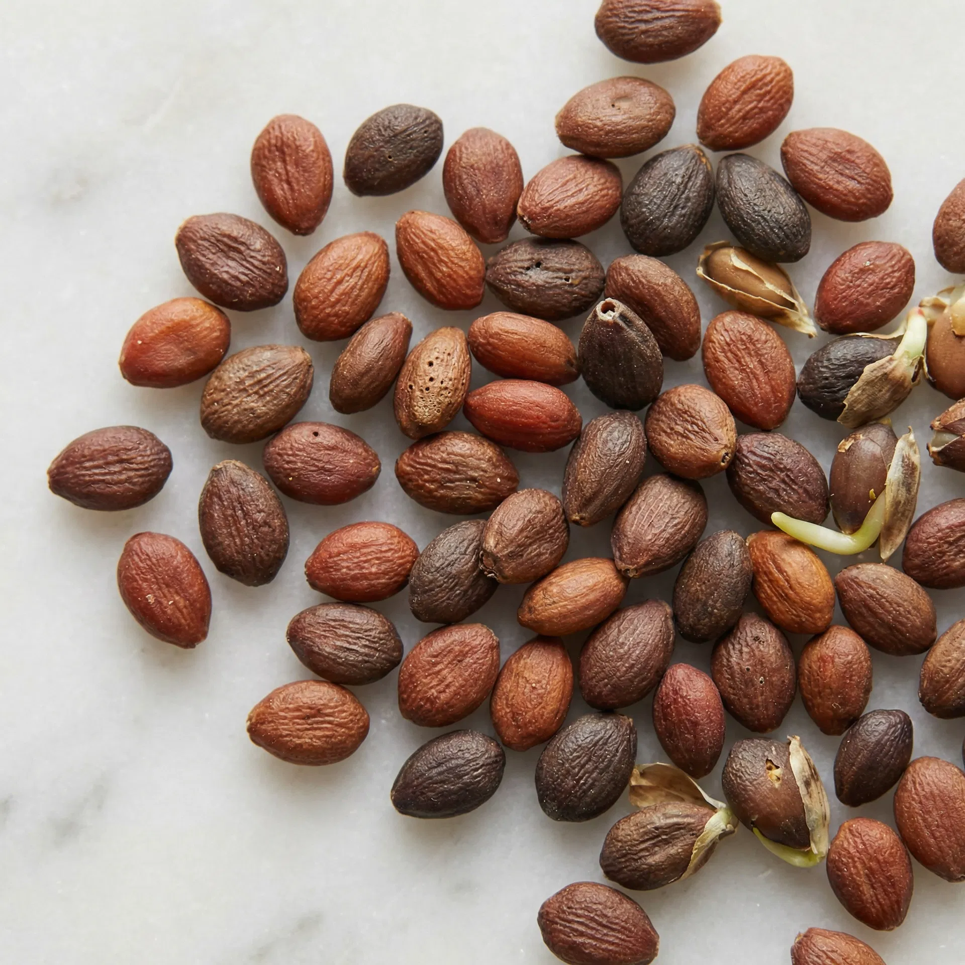 Natural garden cress seeds close-up showing texture and quality