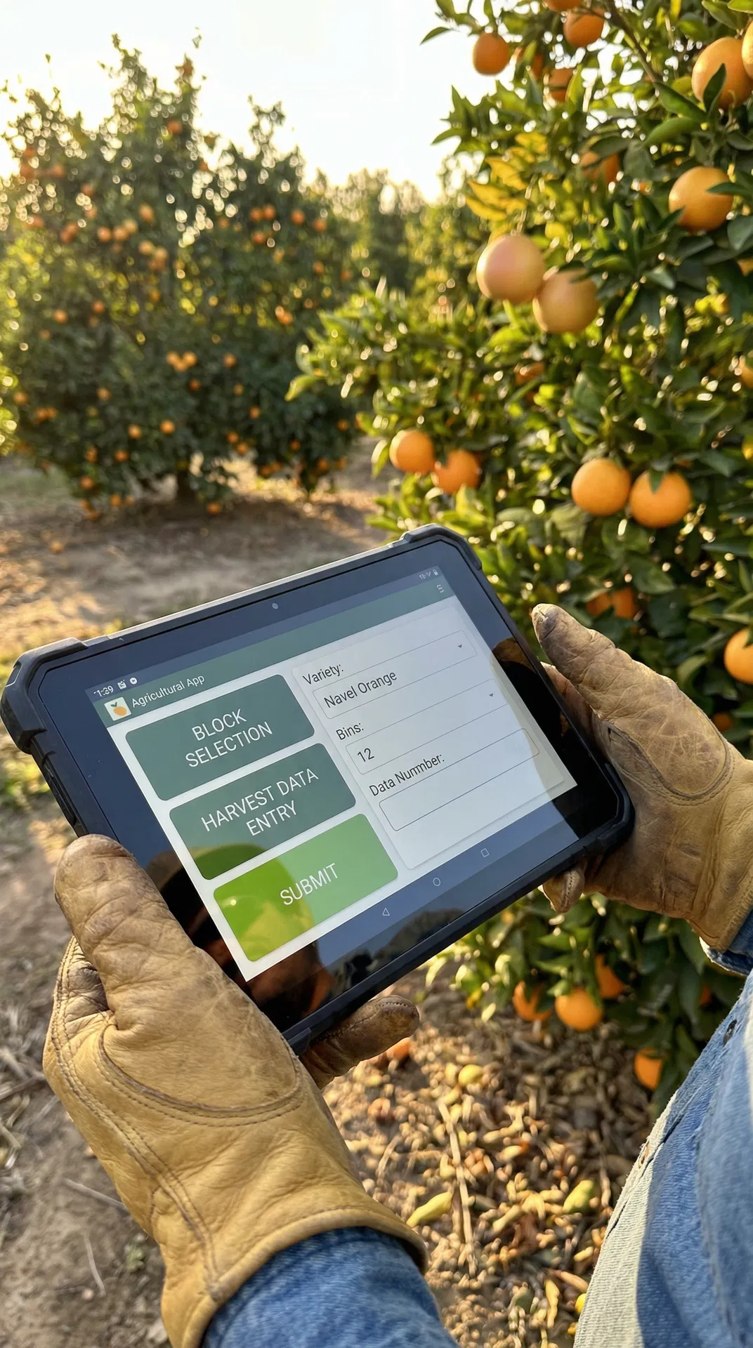 Field worker using mobile app