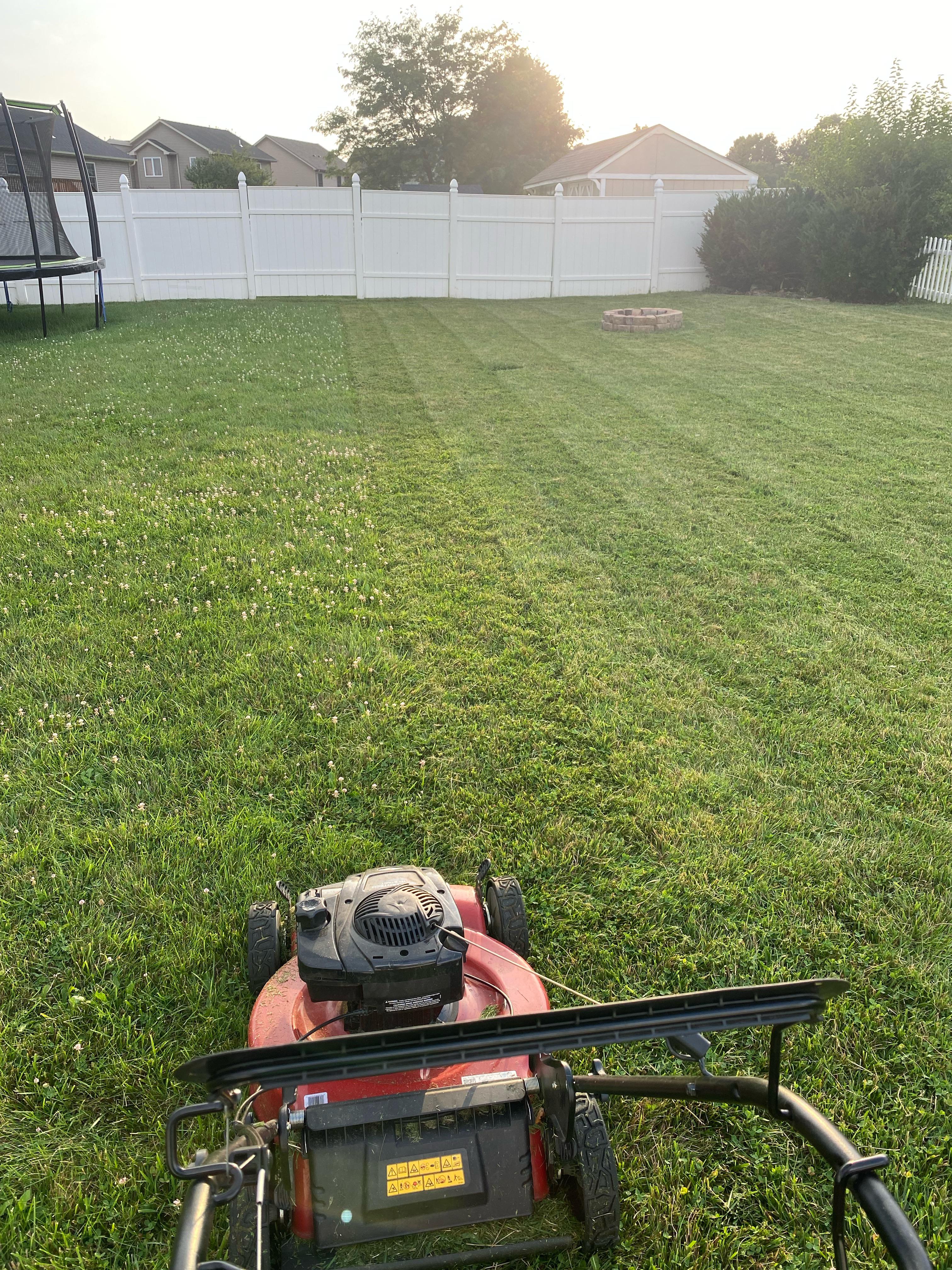 A person mowing a Kentucky bluegrass lawn.