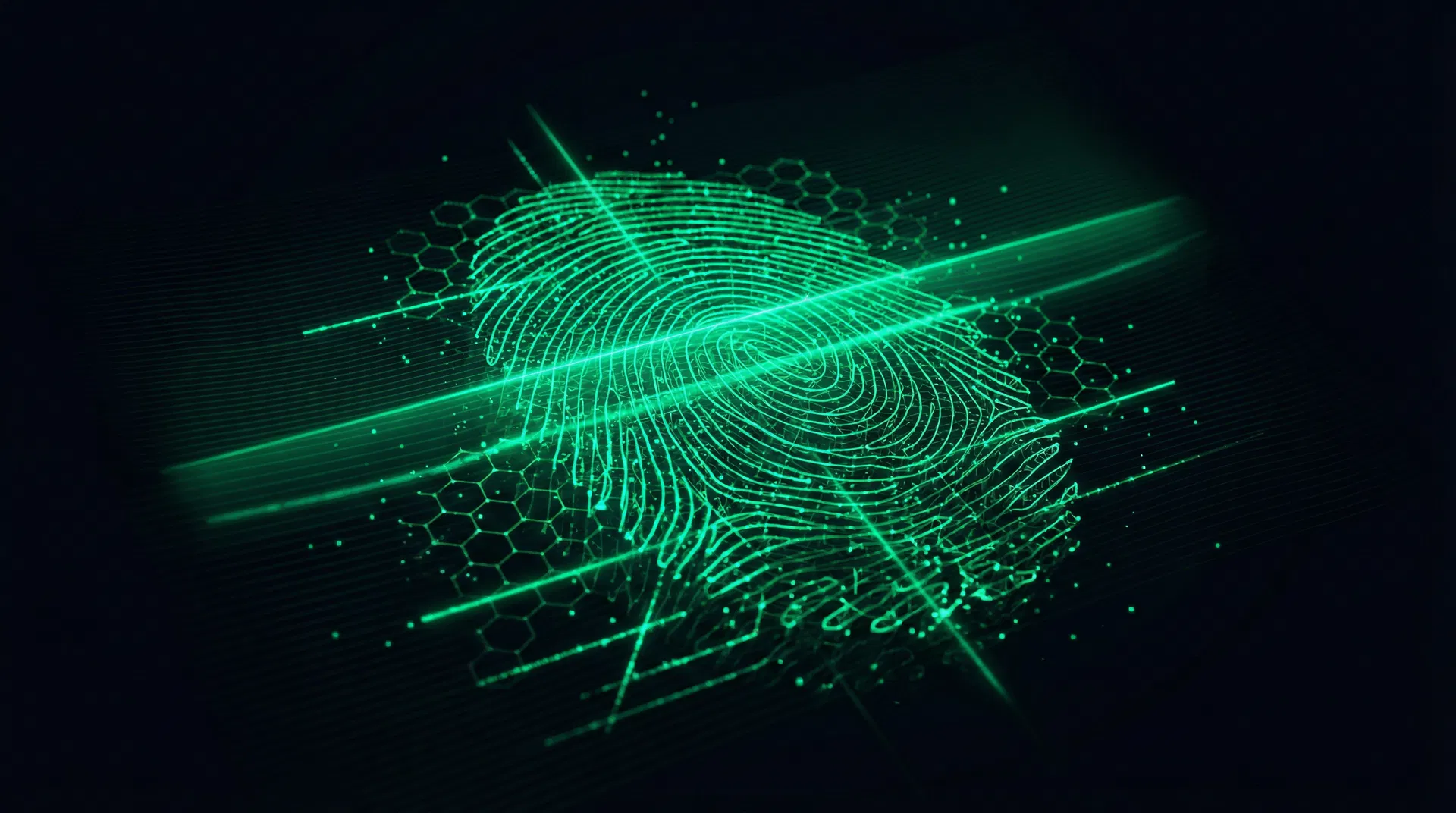 Biometric fingerprint data visualization for continuous authentication
