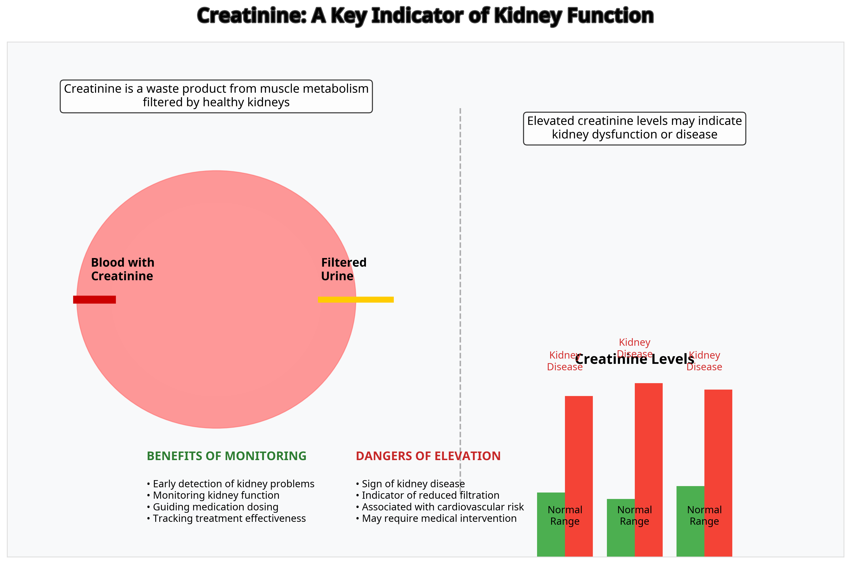 Creatinine: A Key Indicator of Kidney Function