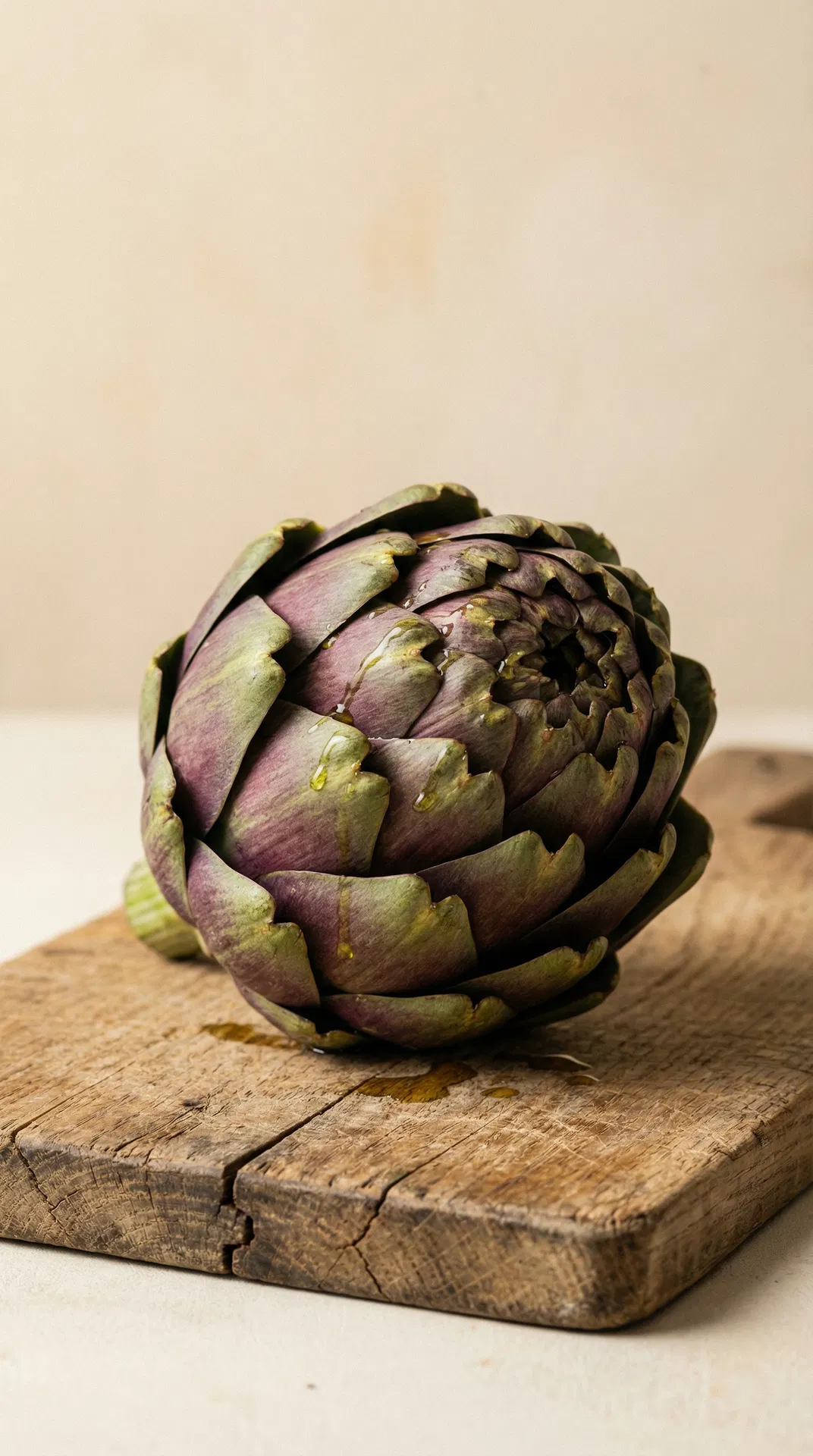 Fresh Artichoke