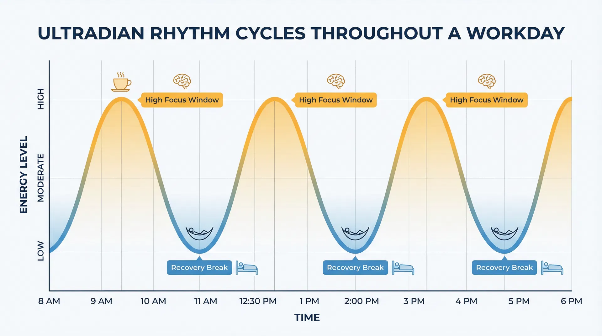 Ultradian Rhythm Cycles Throughout a Workday