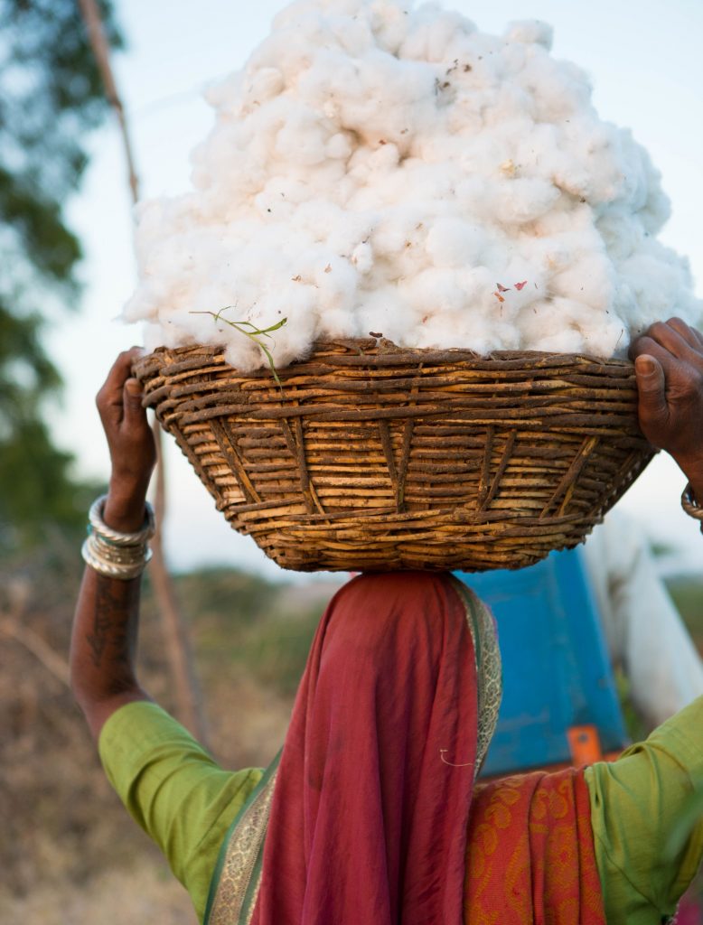 Close-up of organic cotton fibers, highlighting their natural purity and softness.