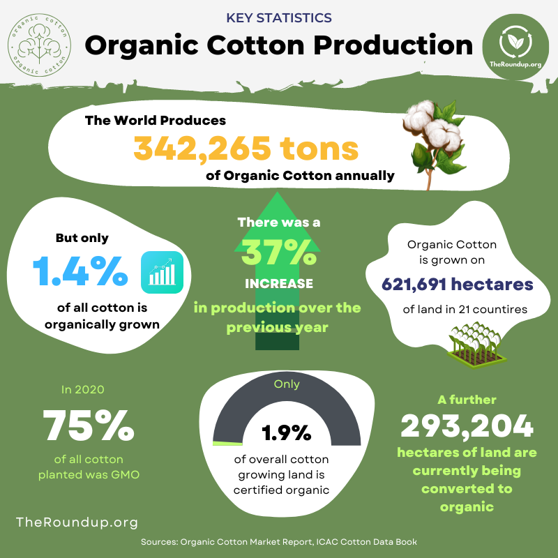 A GOTS certified label prominently displayed on a product, symbolizing rigorous organic and ethical standards.