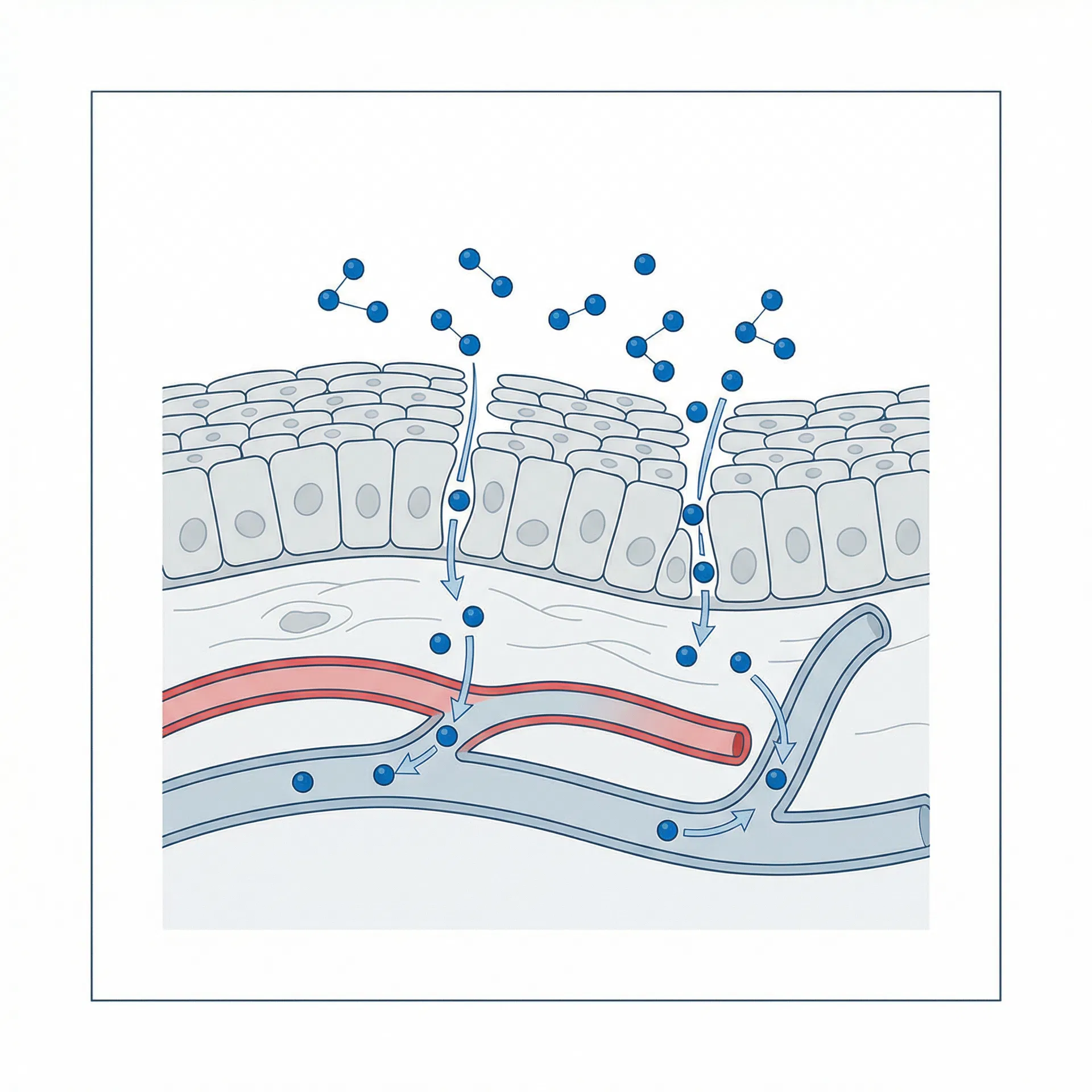 Oral mucosal delivery mechanism