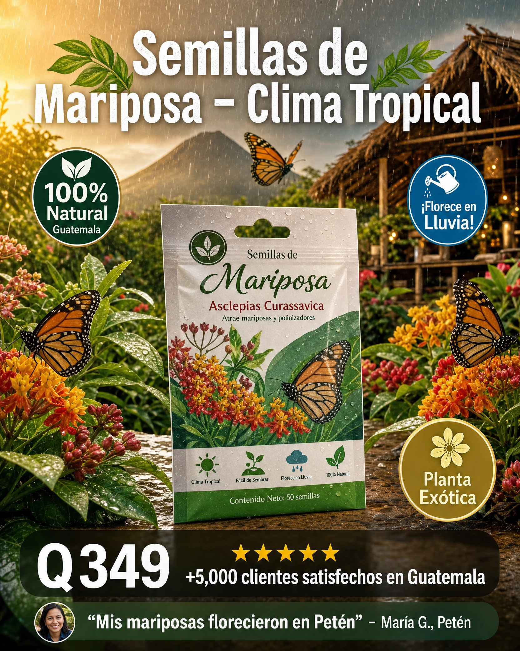 semillas_mariposas_1.png