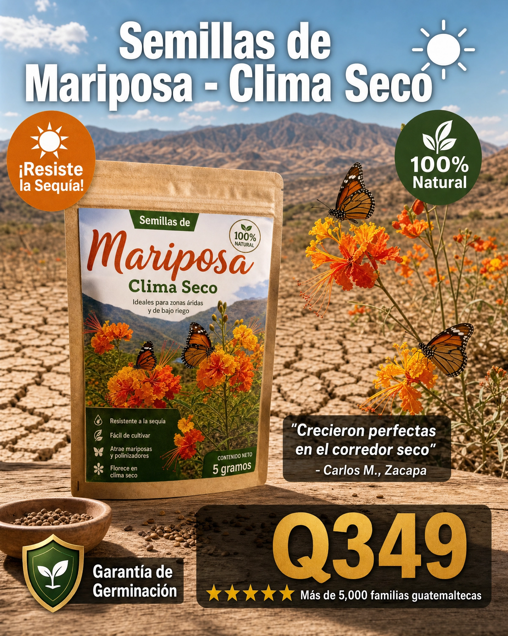 semillas_mariposas_2.png