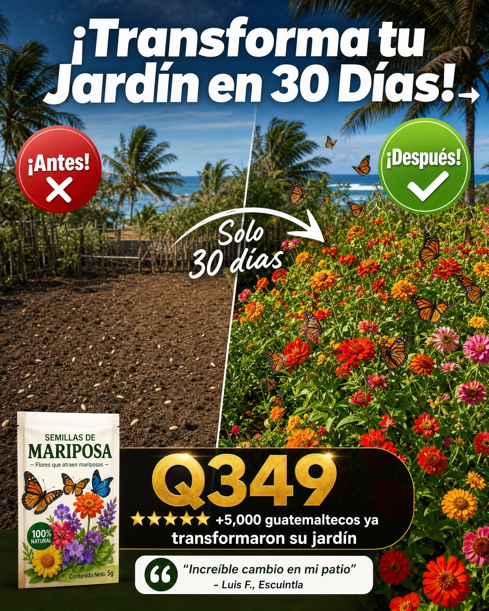 semillas_mariposas_6.png