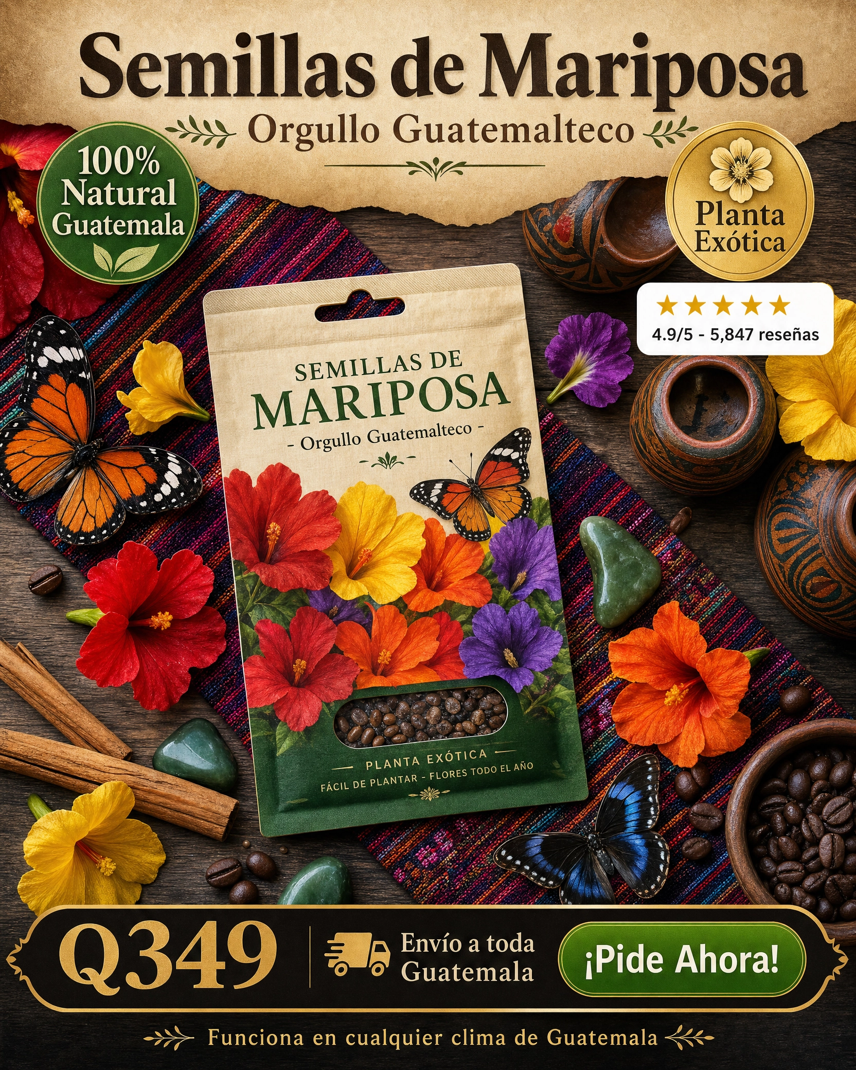 semillas_mariposas_7.png
