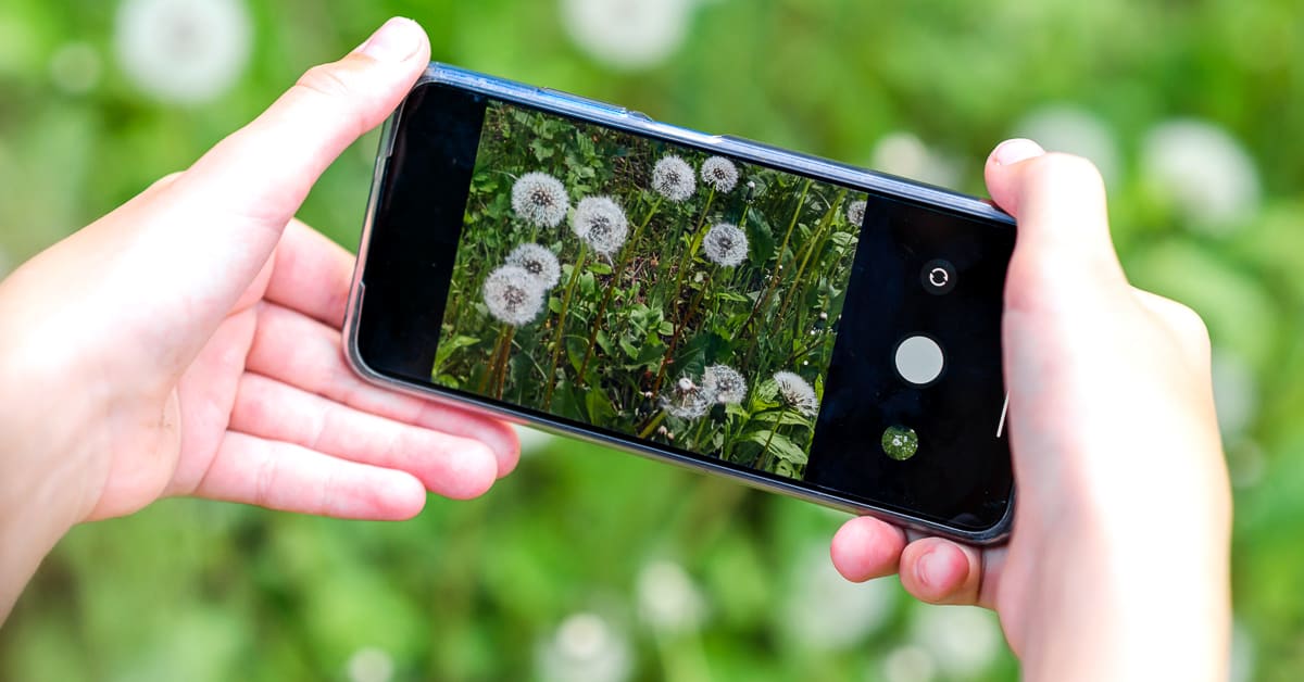 Google Lens mengidentifikasi objek seperti tumbuhan