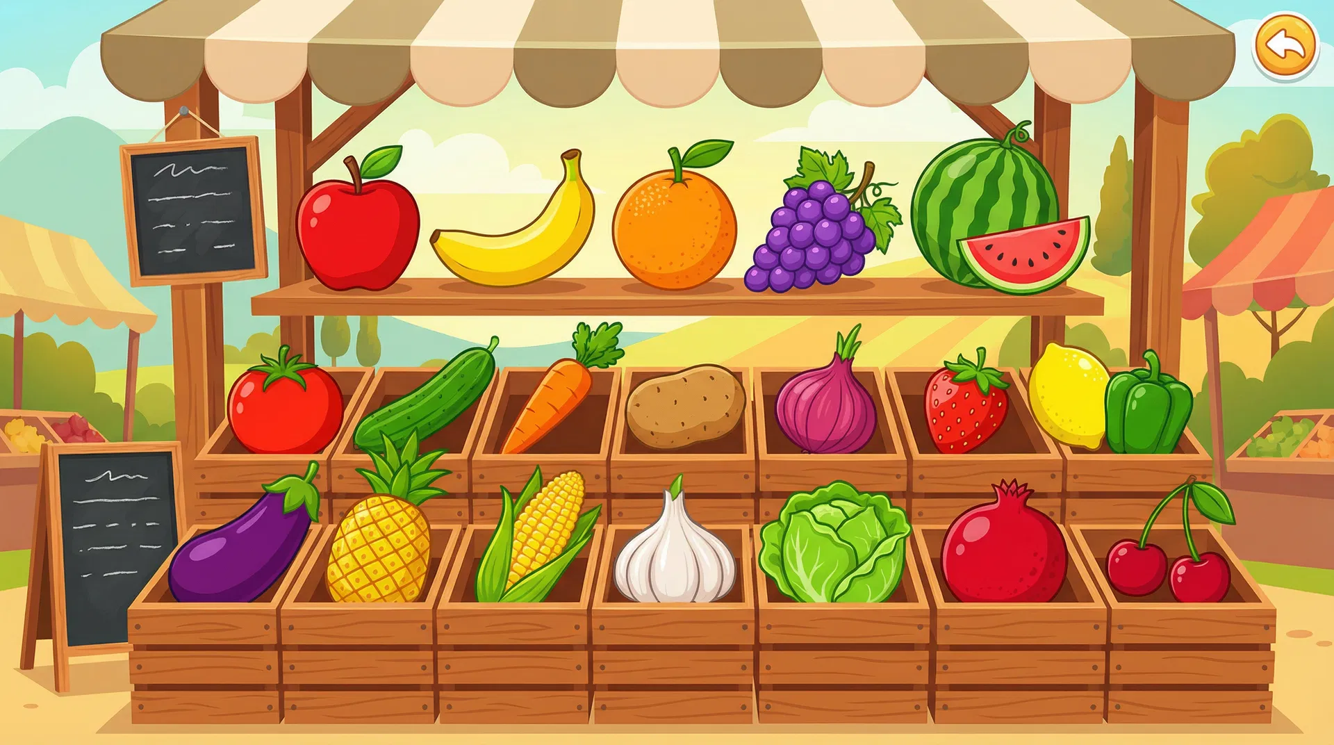 Fruits and Vegetables