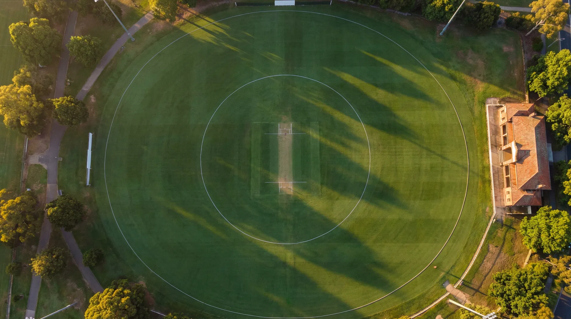 Cricket Pitch