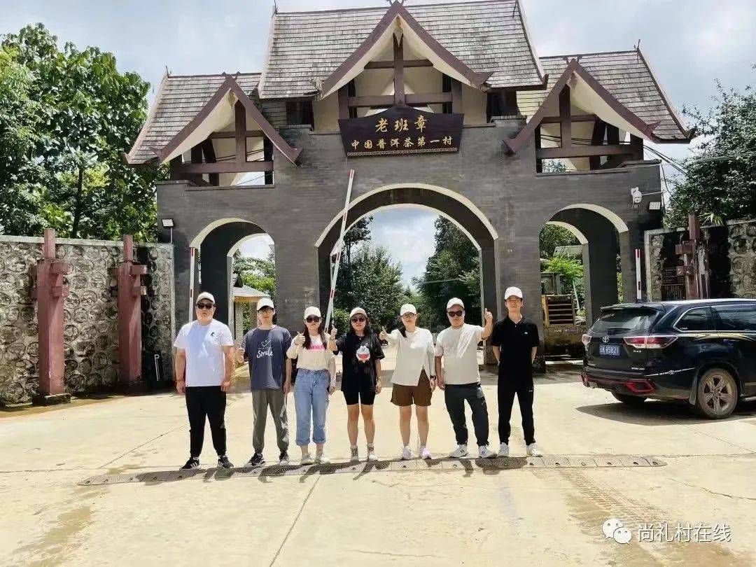 Lao Banzhang Tea Mountain