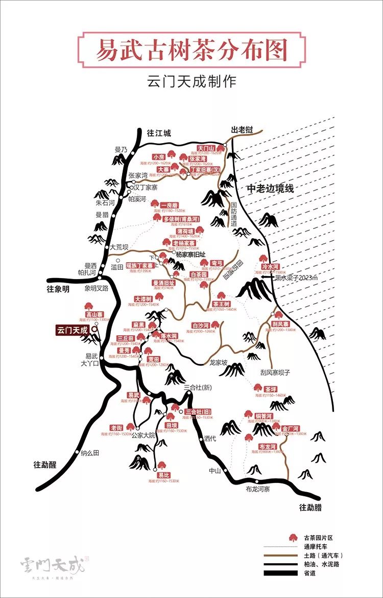 Yiwu Ancient Tea Garden