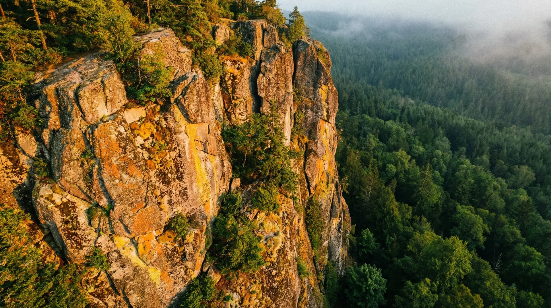 Dramatic rock cliff surrounded by forest