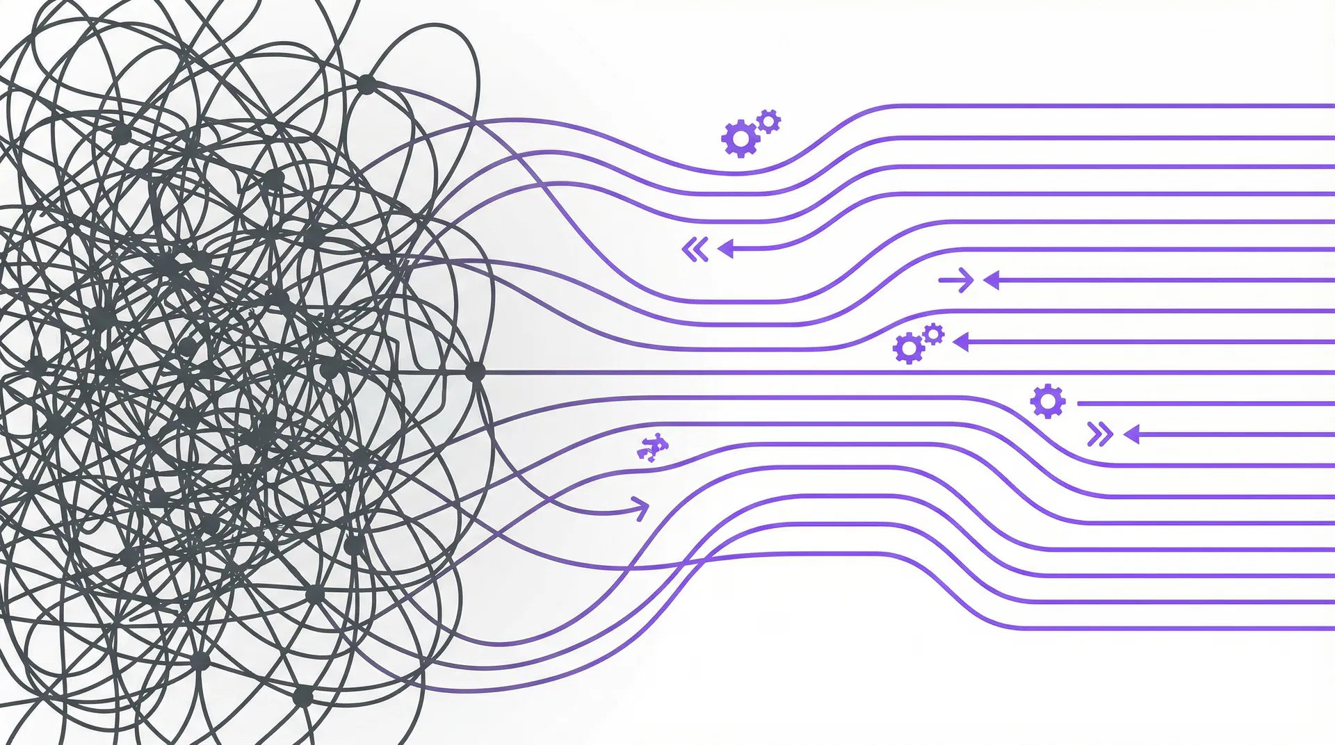 From complexity to clarity — PIXIEBLACK process visualization