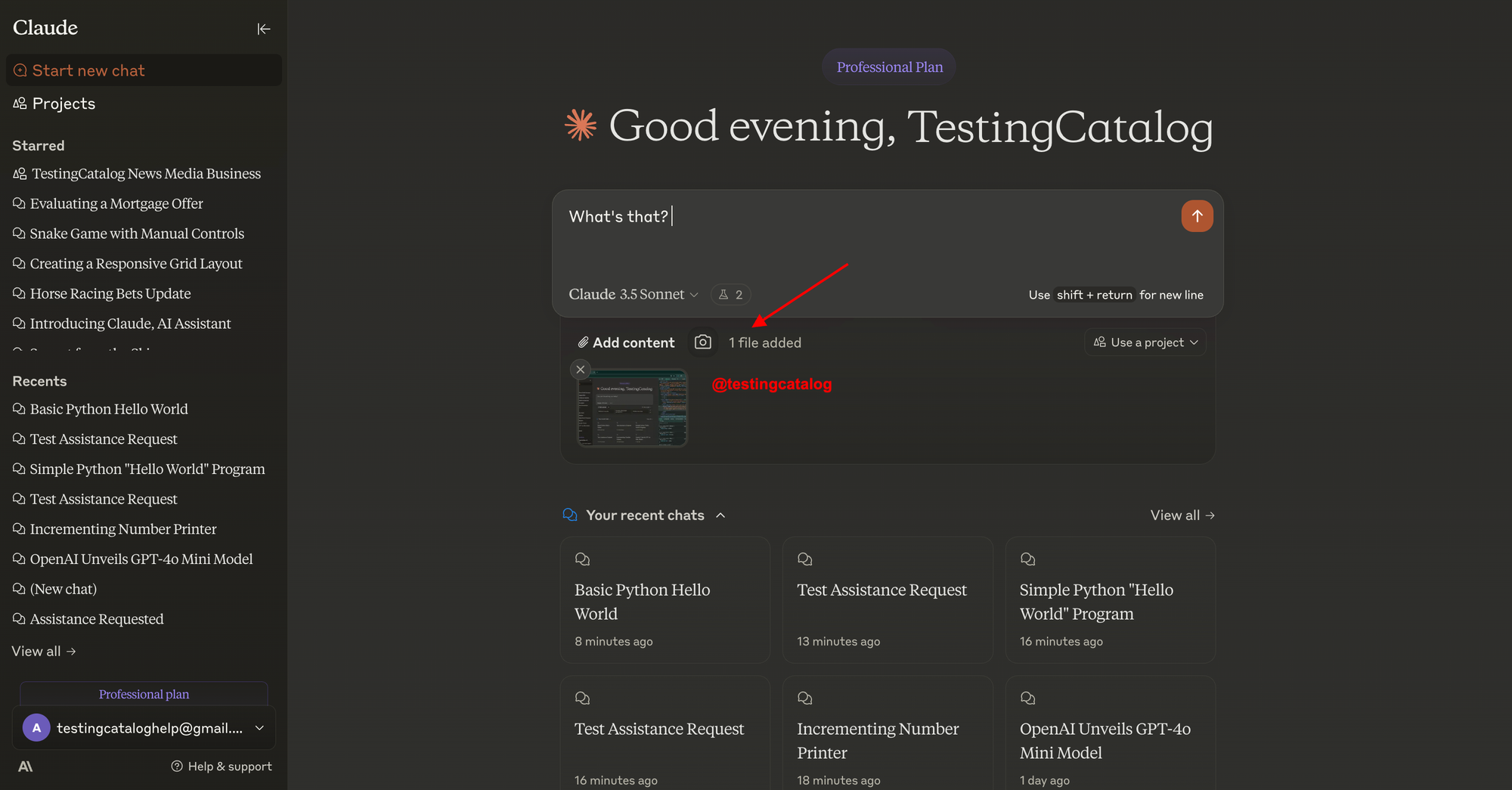 Claude Chat Interface