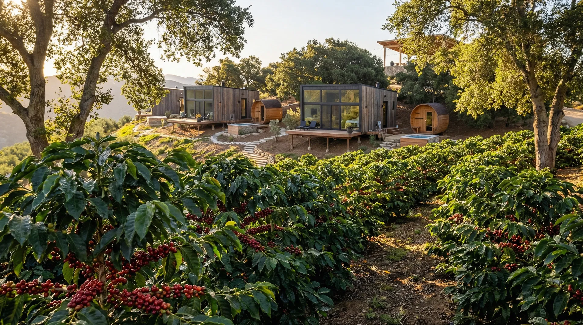 OOD House cabins among coffee terraces