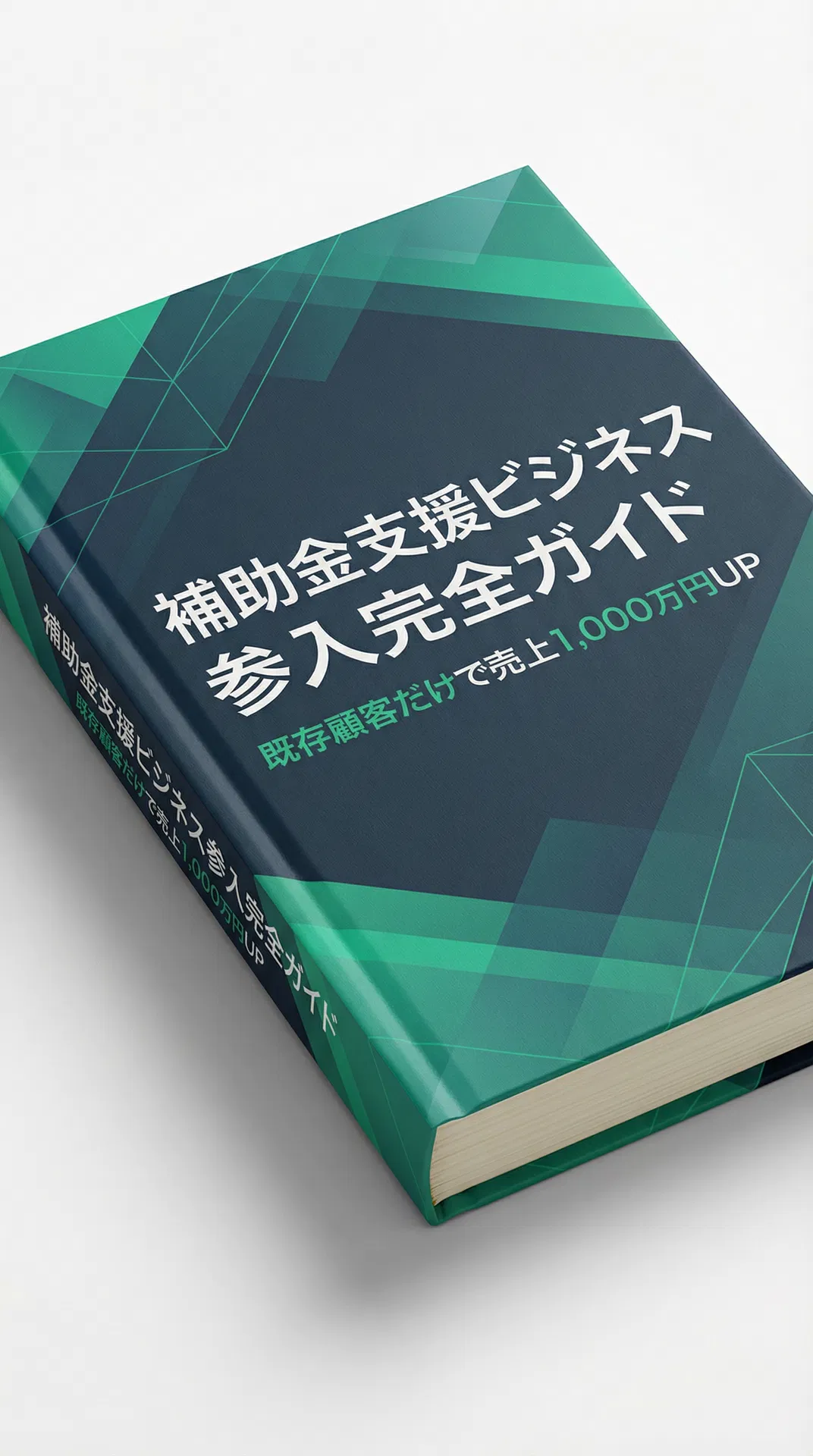 補助金支援ビジネス参入完全ガイド