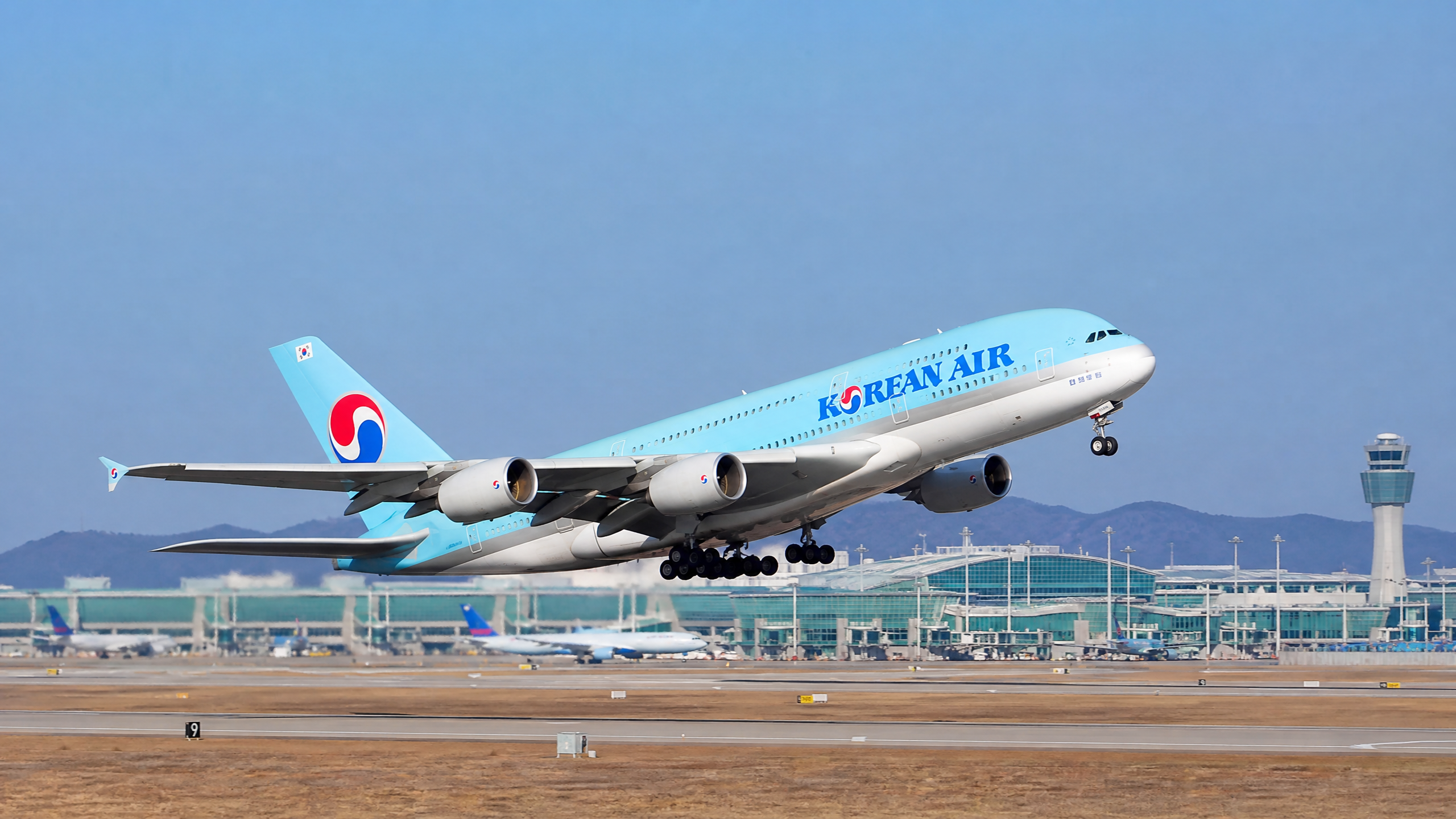 Domestic Flight