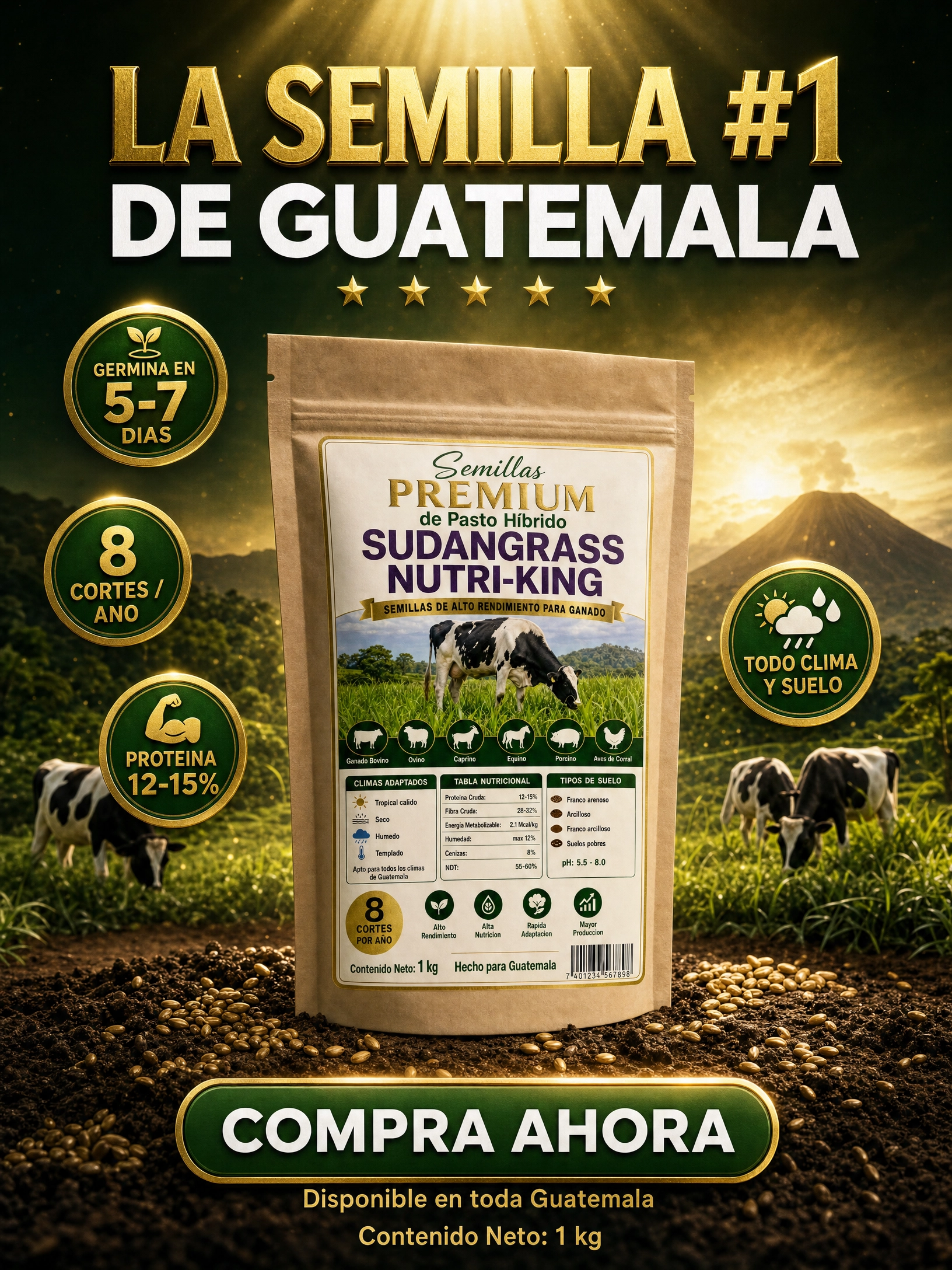 sudangrass_img7_cta.png