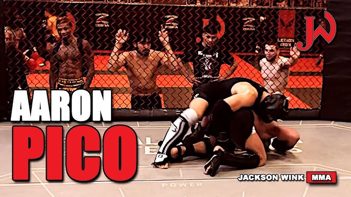 Lerone Murphy UFC Career