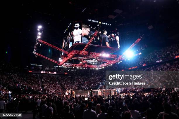 UFC Arena Crowd