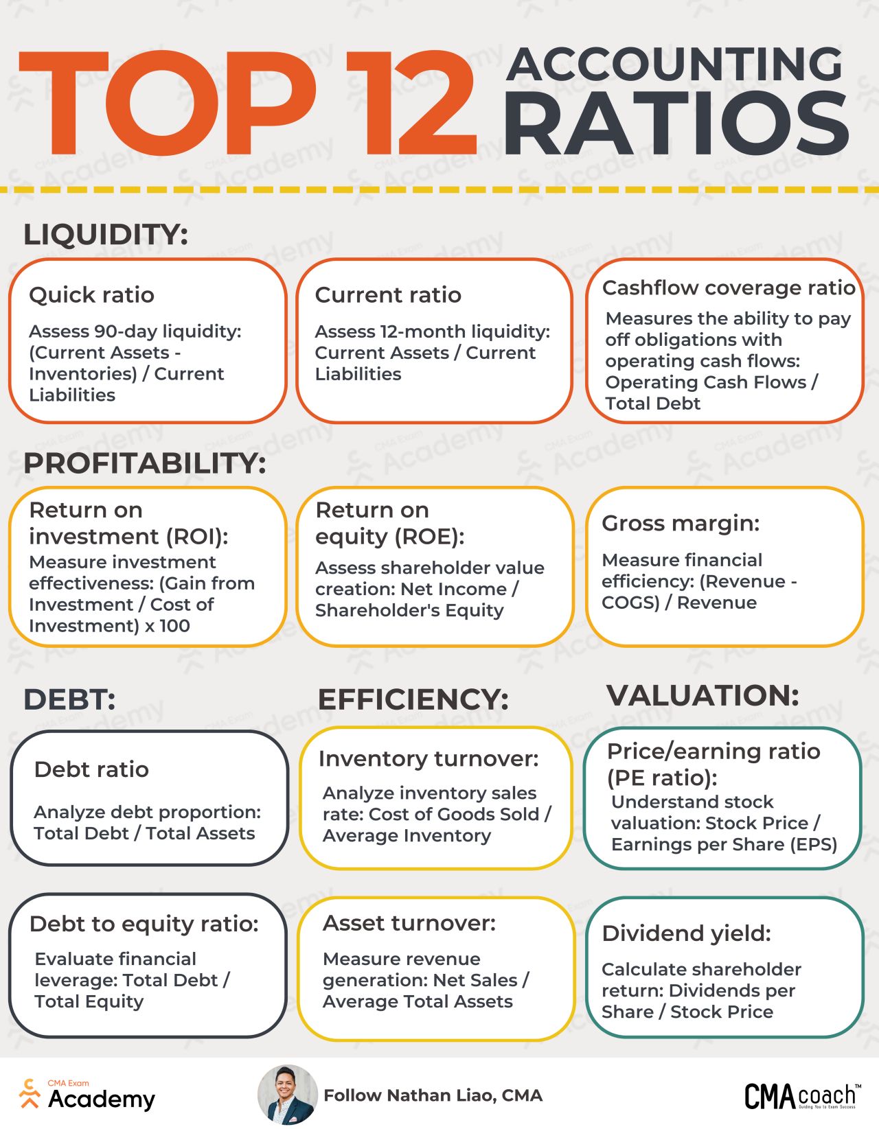 Top 12 Accounting Ratios