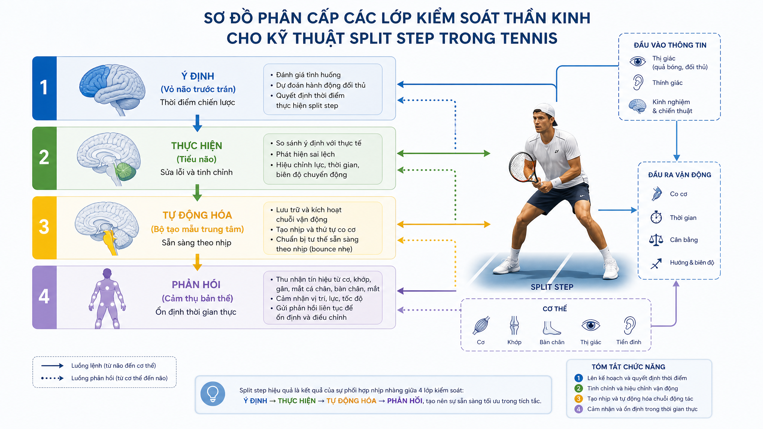 Hệ thống kiểm soát thần kinh