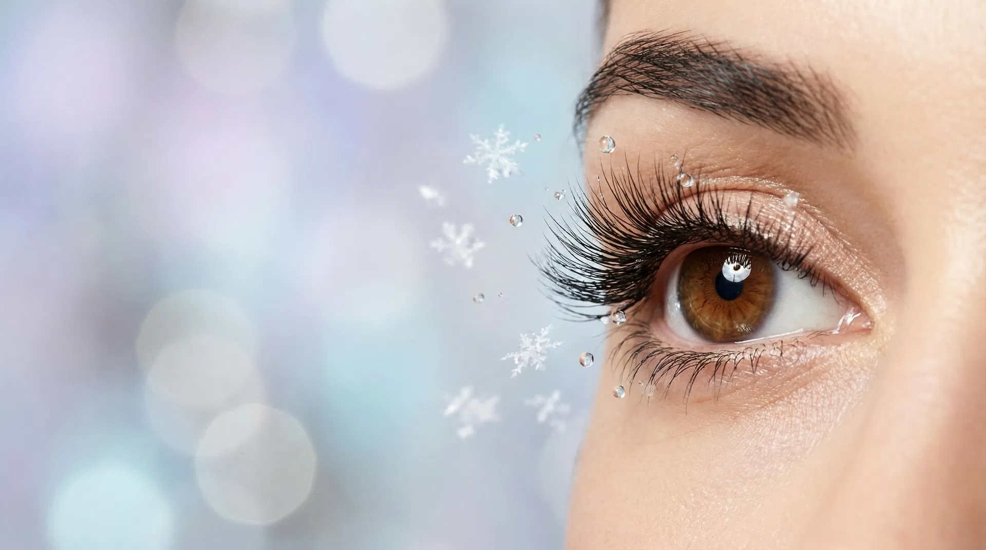 Moany アイラッシュセラム 成分イメージ