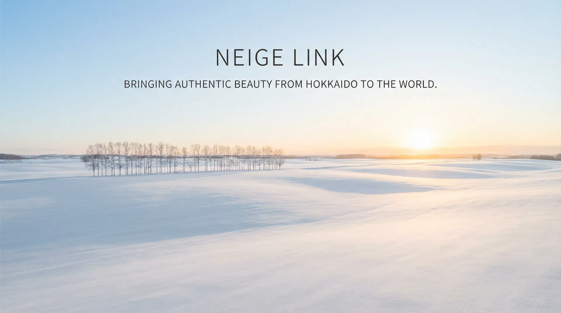 NEIGE LINK 代表 高岡育代