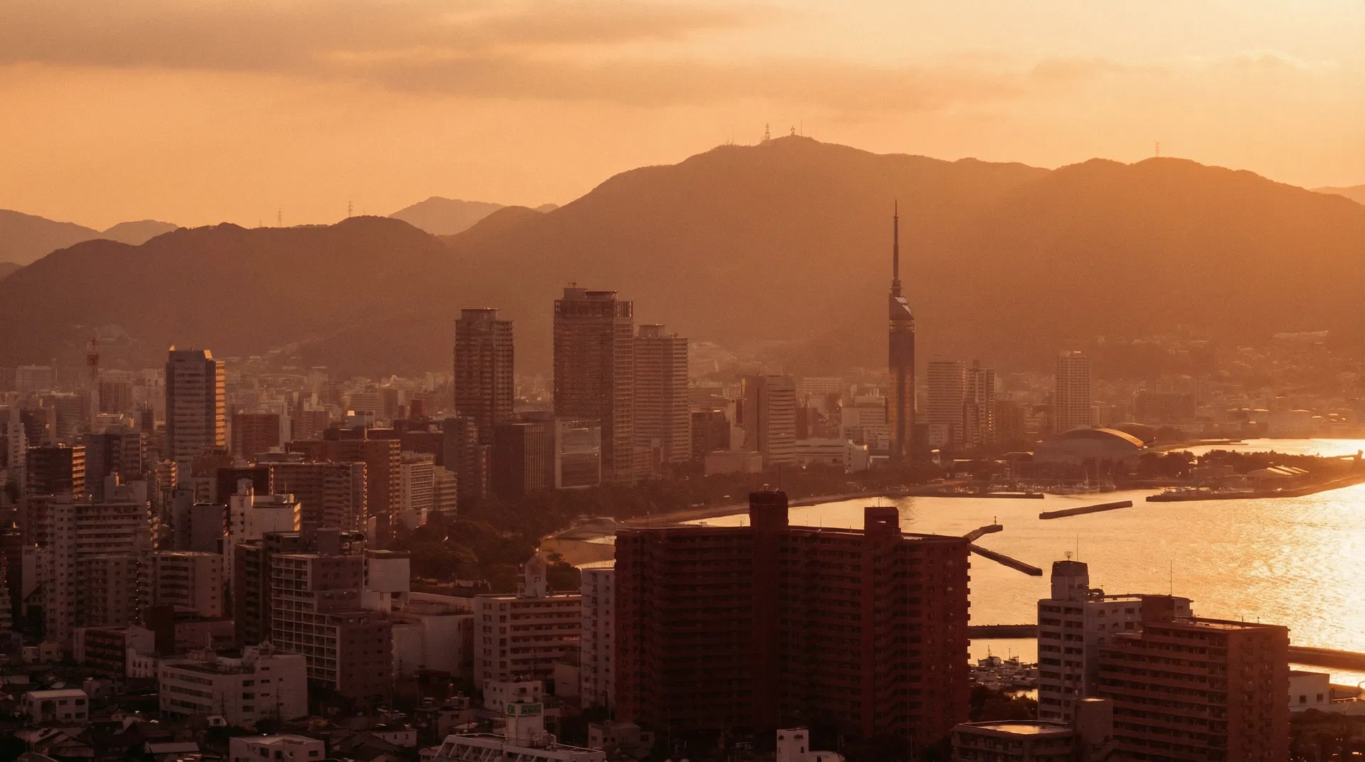 略歴セクション背景