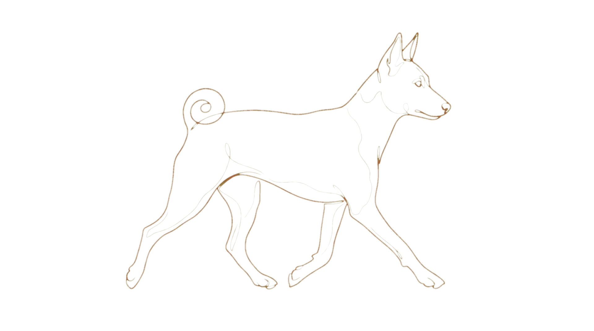 Line-art illustration of a running Basenji