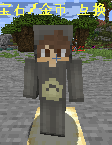 宝石/金币互换 NPC