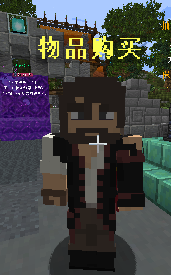 物品购买 NPC