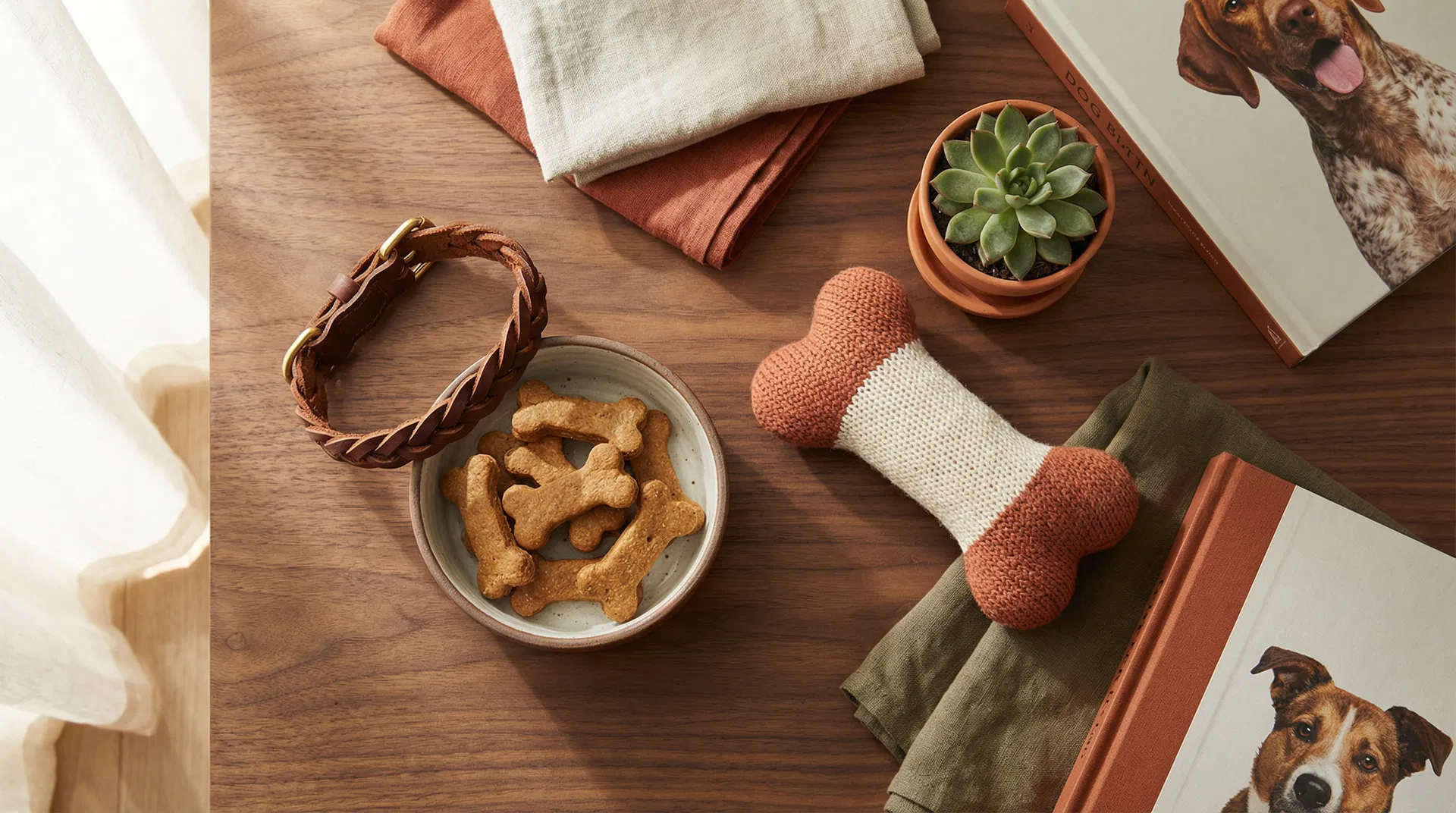 The 7 Best Dog Foods of 2025 (Vet-Reviewed)