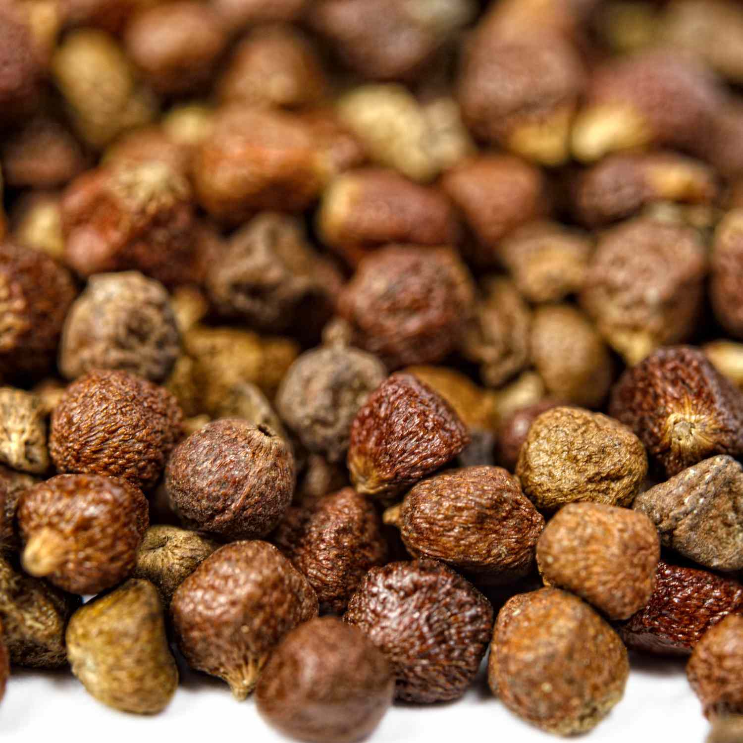 Grains of Paradise
