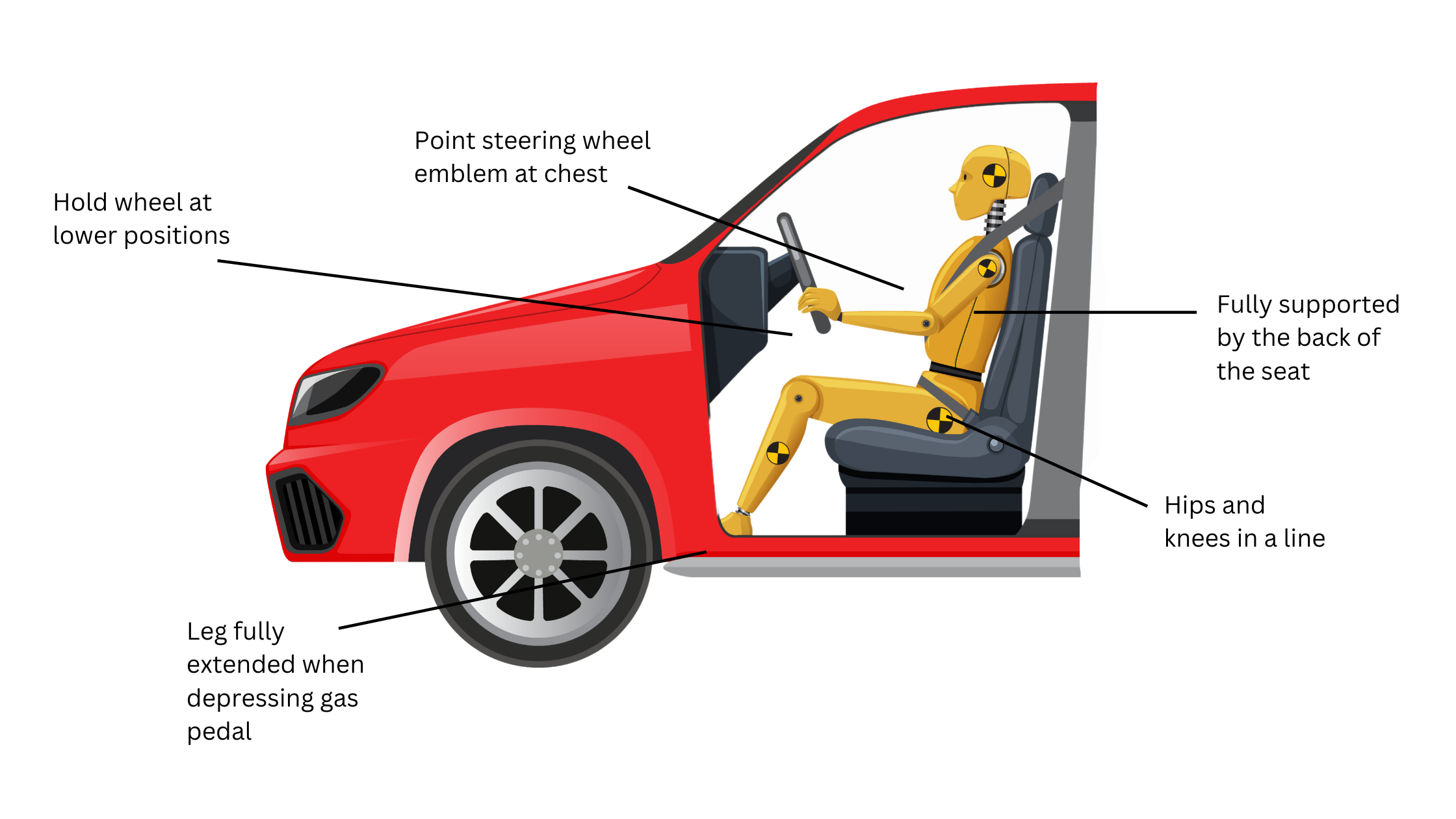 Spine Alignment While Driving