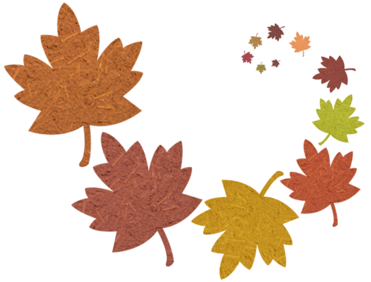 Mixed Fall Elements Clip Art Preview
