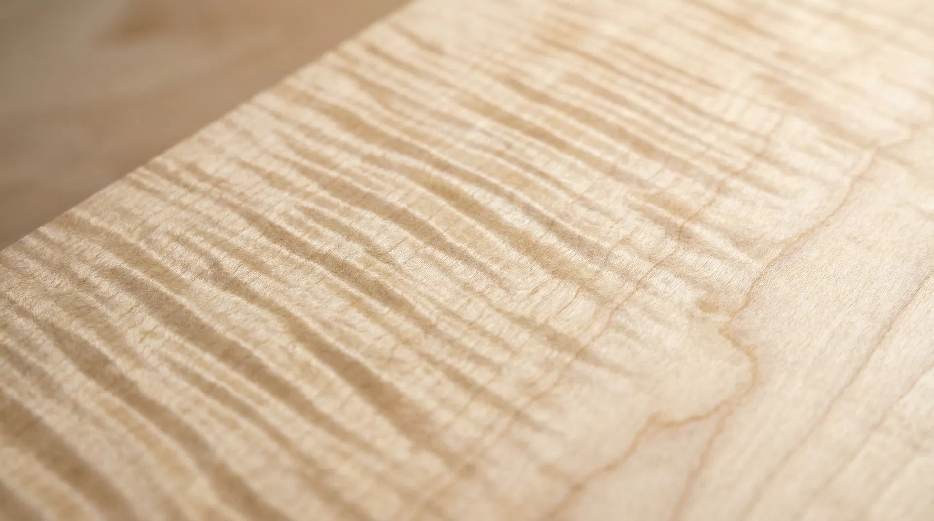 Curly Maple