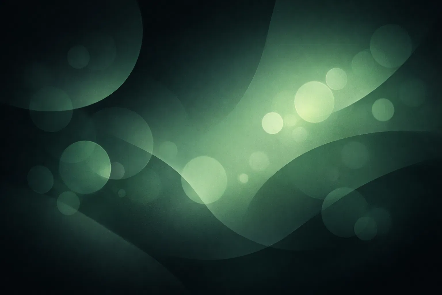 Calidad de Vida Laboral