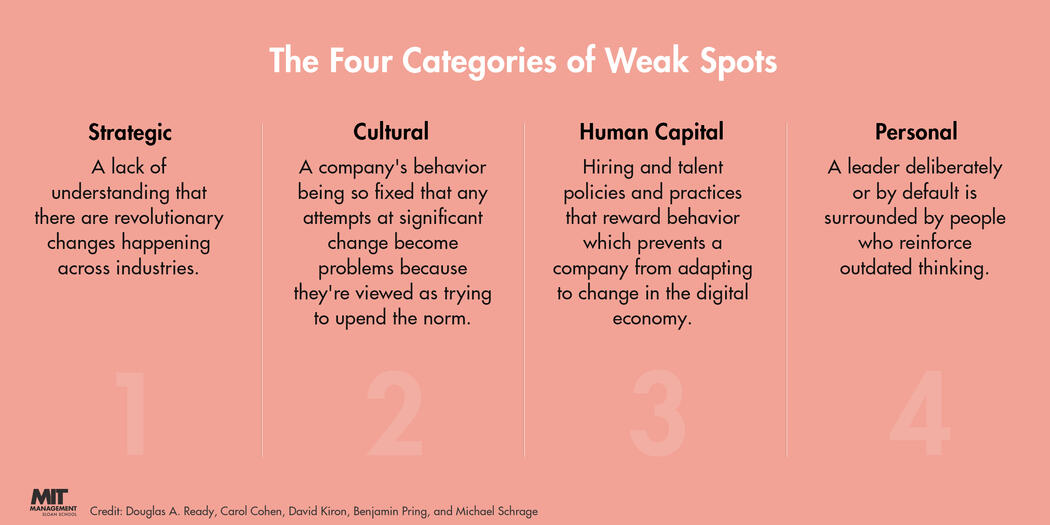 Key Insights for Business Leaders